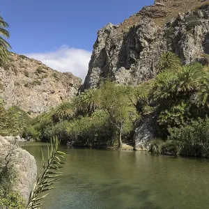 Stream, palm trees, Preveli, Crete, Greece, Europe