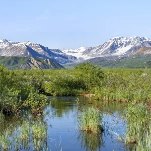 Stream and picturesque mountain landscape with Gulkana glacier and summit Icefall Peak