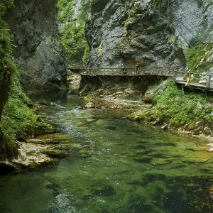 A stream (Radovna) with clear water flows through a rocky gorge in the Southern Limestone Alps A stream (Radovna) with clear water flows through a rocky gorge in the Southern Limestone Alps