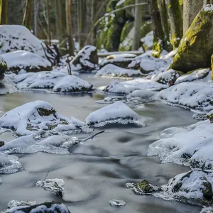 A stream with running water runs through a wooded area A stream with running water runs through a wooded area