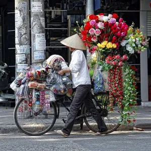 A street vendor with a bicycle selling her flowers in Hanoi