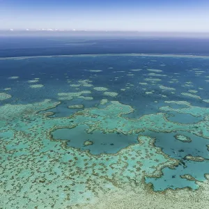 Structures in the Coral Reef, Outer Great Barrier Reef Structures in the Coral Reef, Outer Great Barrier Reef