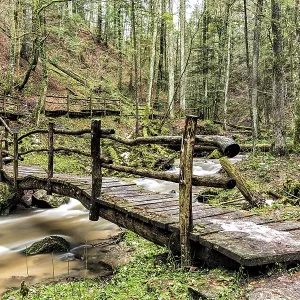 Struempfelbach stream in winter