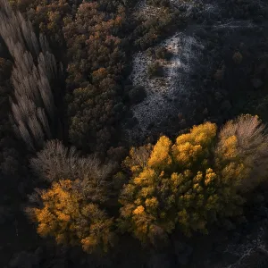Una impresionante fotografía aérea captura los colores vibrantes de un bosque en otoño. Una impresionante fotografía aérea captura los colores vibrantes de un bosque en otoño.