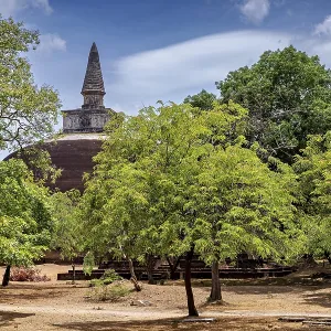 Stupa behind lush green trees on a clear day Stupa behind lush green trees on a clear day