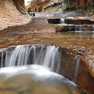 The Subway of Left Fork Creek, Zion National Park