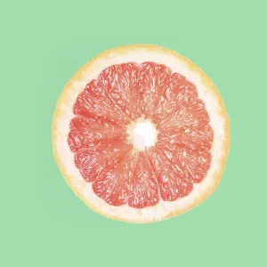 Summer coral grapefruit slice. Isolated green background