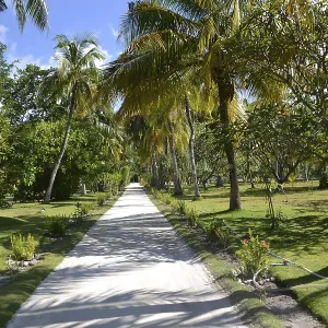 Summer Day on the Maldives