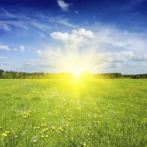 Summer meadow on sunset with blu sky and sun rays Summer meadow on sunset with blu sky and sun rays