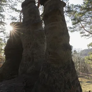 Sun rays appearing between two high rocks in the forest Sun rays appearing between two high rocks in the forest