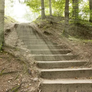 Lumières du soleil dans les arbres d'une forêt d'été avec une allée Lumières du soleil dans les arbres d'une forêt d'été avec une allée