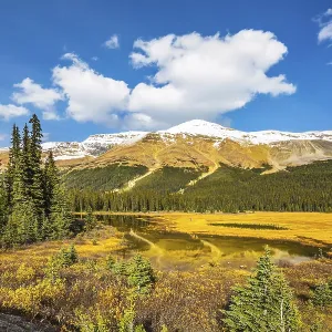 Sunny day. Waterlogged valley in the Rocky Mountains