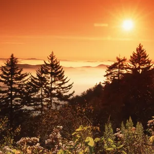Sunrise, Great Smoky Mountains
