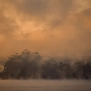 Sunrise over trees with fog at Lago Llanquihue Sunrise over trees with fog at Lago Llanquihue