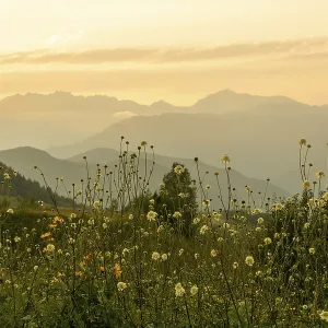 Meadow and Mountains Landscape Print