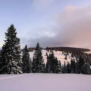 Sunset on the snow plain in the Smrekovica mountains in Velka Fatra