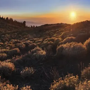 Sunset in the Teide National Park overlooking a sea of clouds in front of La Palma Sunset in the Teide National Park overlooking a sea of clouds in front of La Palma