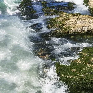Surf on the coral reefs in the sunny day - Print