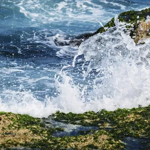 Surf on the coral reefs in the sunny day Print