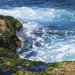 Surf on the coral reefs in the sunny day Print