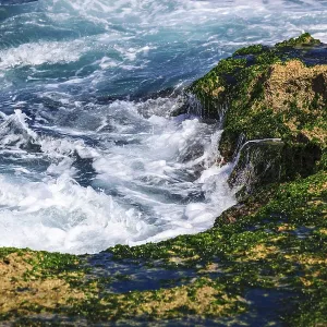 Surf on the coral reefs in the sunny day Print