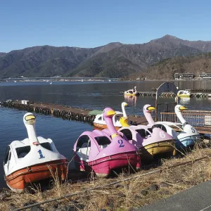 Several swan shaped paddleboats on a calm lake with mountains in the background