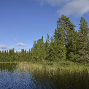 Swedish lake district, Ojarn Swedish lake district, Ojarn