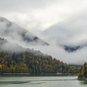 Sylvenstein Speicher with autumn forest in the mist