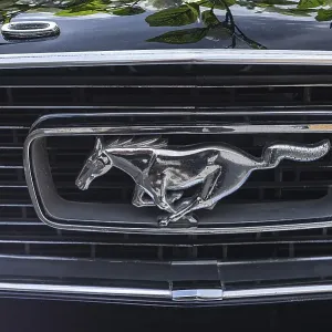 Symbol Radiator grill horse figure Symbol Radiator grill horse figure