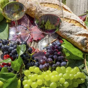 Symbolic image of grape grape harvest: Ripe grapes decorated with wine glasses on a wooden table Symbolic image of grape grape harvest: Ripe grapes decorated with wine glasses on a wooden table