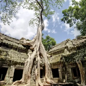 Ta Prohm, Angkor Wat complex, Siem Reap