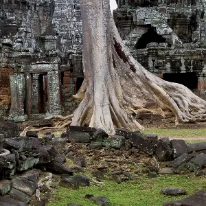 Ta Prohm temple scenic ruins in Angkor Wat complex