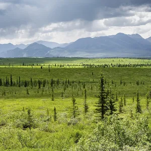 Taiga and tundra, mountain landscape of the Alaska Range with dramatic cloudy sky