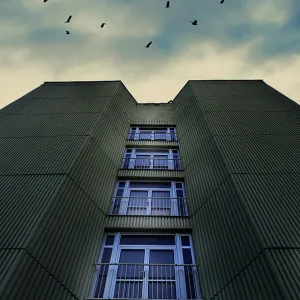 A tall building with birds flying against a cloudy