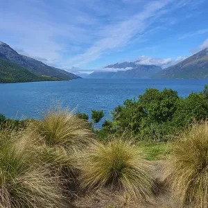 Tall grasses in the foreground with a view of a lake and surrounding mountains