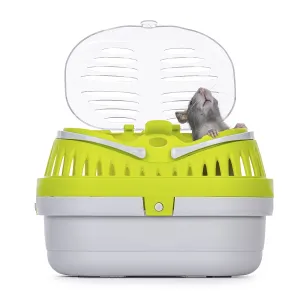 Tame cute young blue rat sitting in open travel container