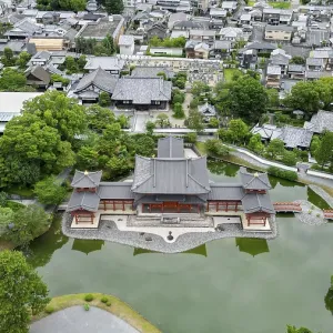 Temple complex in a Japanese village photographed with a drone Temple complex in a Japanese village photographed with a drone