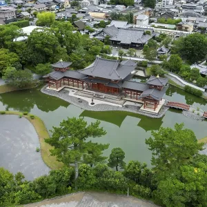 Temple complex in a Japanese village photographed with a drone