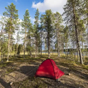 Tent in Muddus National Park, Laponia World Heritage Site