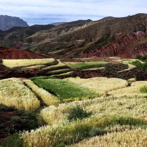 Terraced fields and mountains in the High Atlas region near Achaouikh