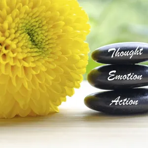 Pensée, Émotion et Action sur des pierres zen avec une fleur jaune en fleur Pensée, Émotion et Action sur des pierres zen avec une fleur jaune en fleur