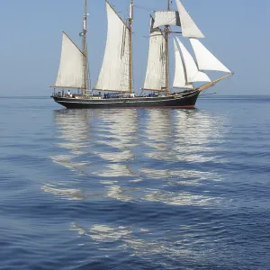 The three-masted topsail schooner Albatros on the Baltic Sea The three-masted topsail schooner Albatros on the Baltic Sea
