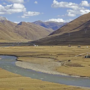 Tibetan nomadic tents with prayer flags and herd of yaks grazing along the Sichuan-Tibet Highway Tibetan nomadic tents with prayer flags and herd of yaks grazing along the Sichuan-Tibet Highway