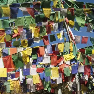 Tibetan prayer flags at the domicile of the Tibetan exile government Tibetan prayer flags at the domicile of the Tibetan exile government