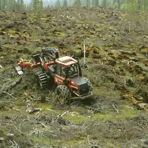 Timber industry, caterpillar at work on clear cut