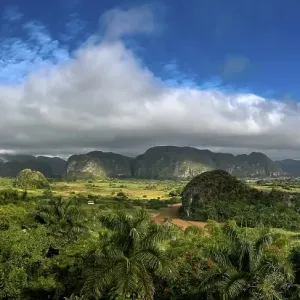 Tobacco fields and the Mogotes karst mountains Tobacco fields and the Mogotes karst mountains