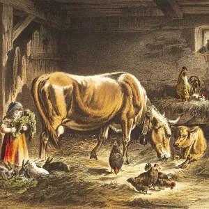 Toddler playing with many animals in the stable