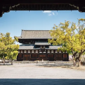 Toji temple in Kyoto, Japan, Asia