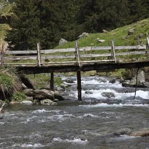 Torrent and old wooden bridge on the Transfogarasan High Road Torrent and old wooden bridge on the Transfogarasan High Road