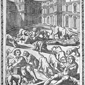 Torture, ordeal, inquisition, a